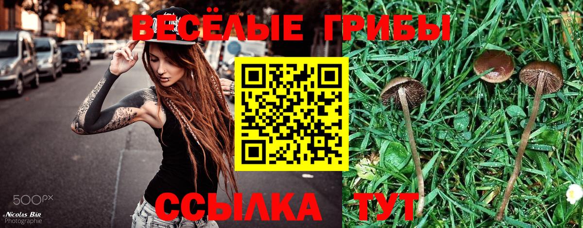 Галлюциногенные грибы мицелий Бутурлиновка